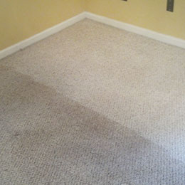 carpet-cleaning-los-angeles